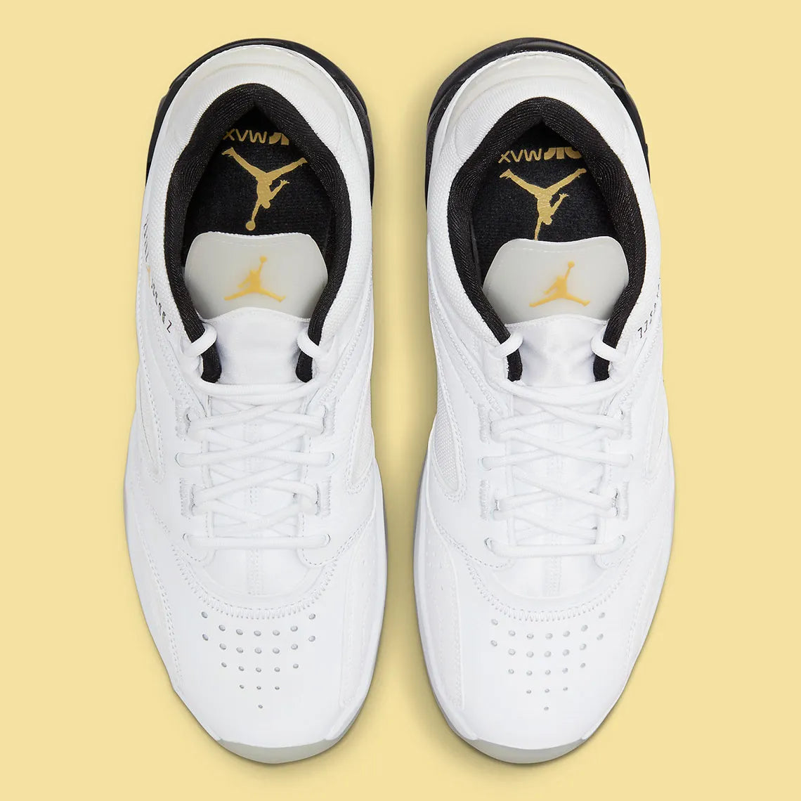 NIKE JORDAN POINT LANE